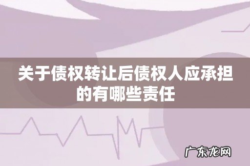 关于债权转让后债权人应承担的有哪些责任