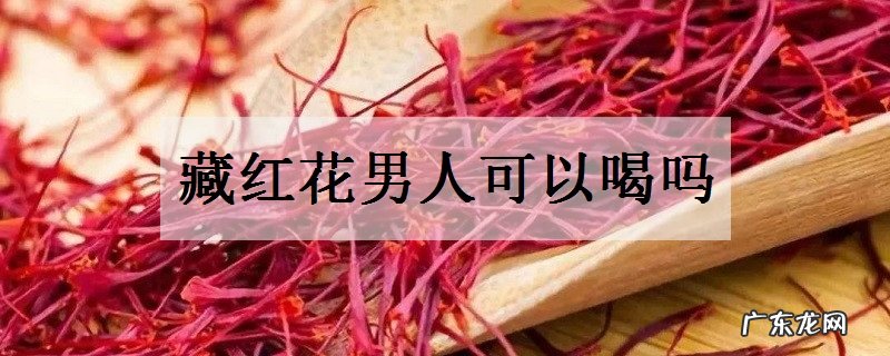 藏红花男人可以喝吗有哪些好处