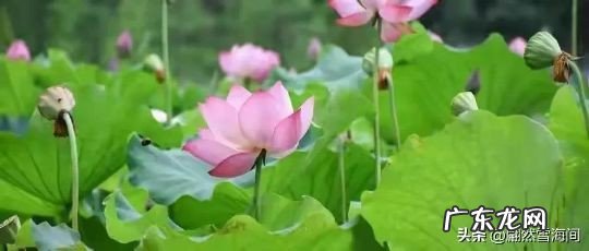 高级唯美的古风祝福语欣赏 祝福前程似锦的诗句