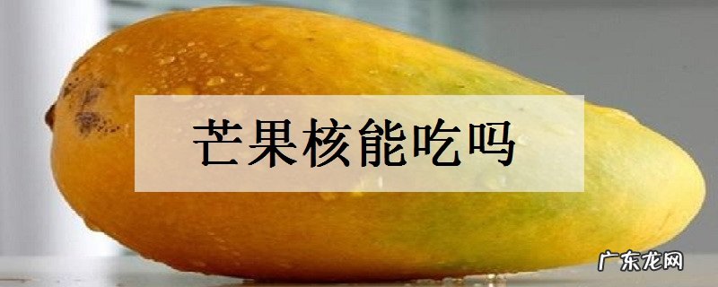 芒果核能吃吗有哪些功效与作用