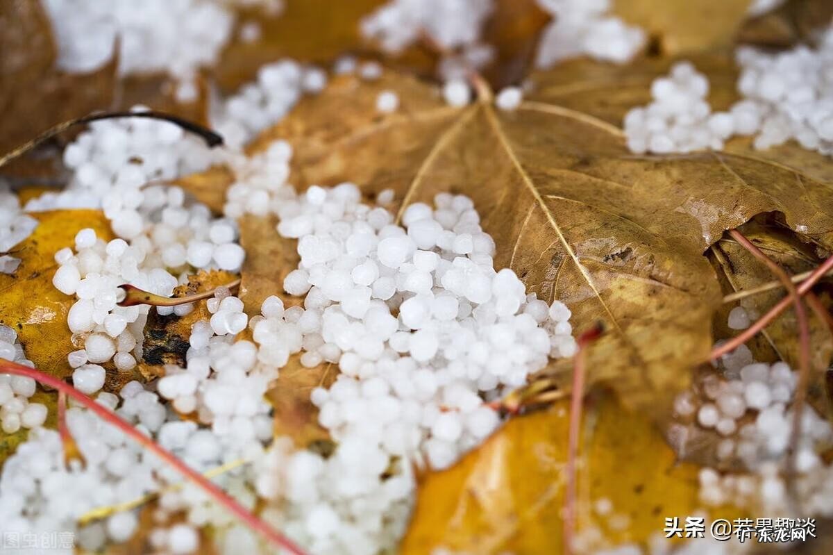 镐怎么读拼音怎么写 镐怎么读什么意思