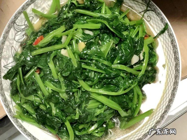 南方的青菜到底是什么菜 我国南方的青菜是什么菜