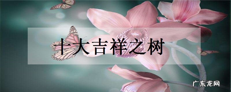 十大吉祥之树适合种在庭院里的树