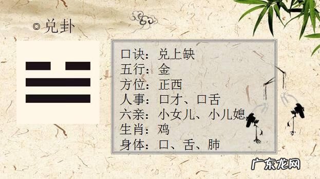 肝在风水上看哪 哪种风水造成肝胆不好