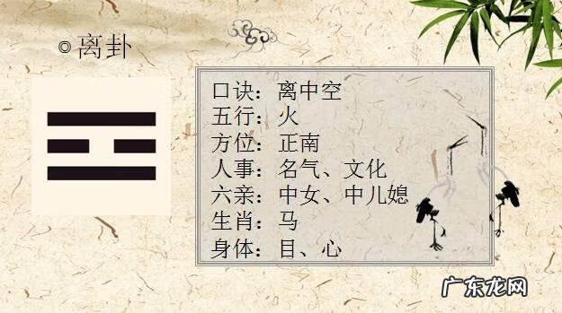 肝在风水上看哪 哪种风水造成肝胆不好