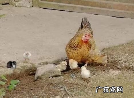 乾山乾向水流乾三合风水详解 乾山乾向水流乾风水怎样