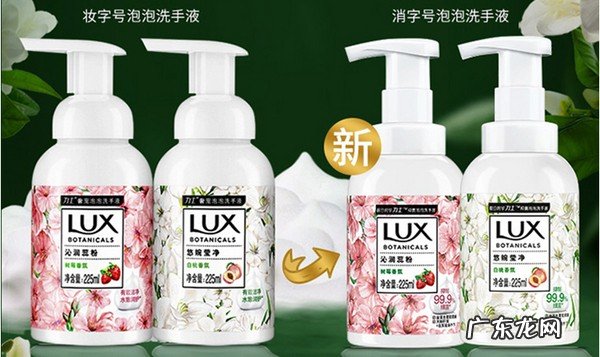 十大洗手液品牌排行榜 小知识:泡沫洗手液什么牌子的好