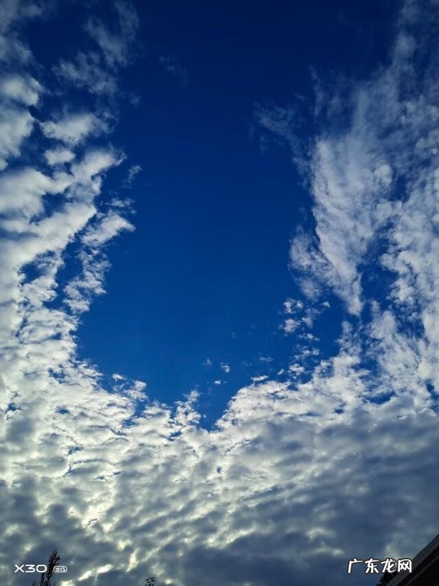 优美的段落有哪些