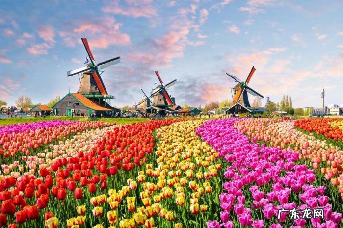 盘点其中最强的13个小国 世界最强国家排名