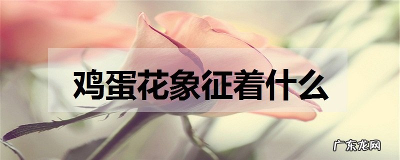 鸡蛋花象征着什么有什么寓意