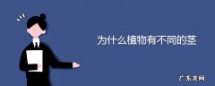 为什么植物有不同的茎原因是什么