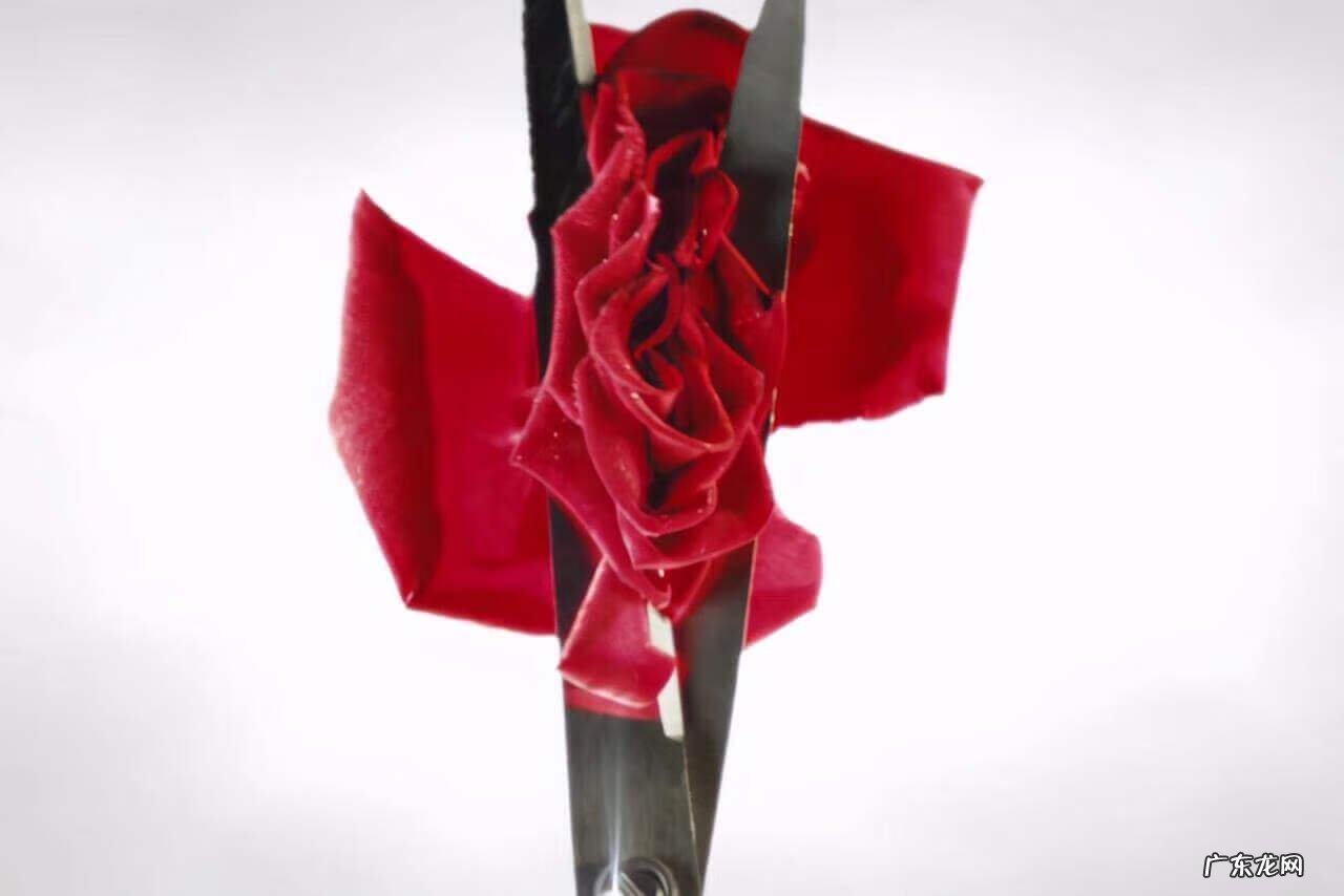 性教育女性外生器 女性外殖生器