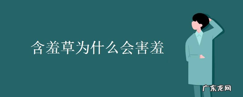含羞草为什么会害羞原因是什么