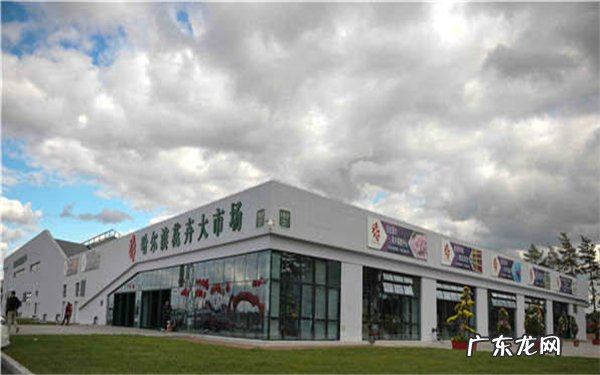 黑龙江哪里有卖绿植的什么地方卖绿植便宜