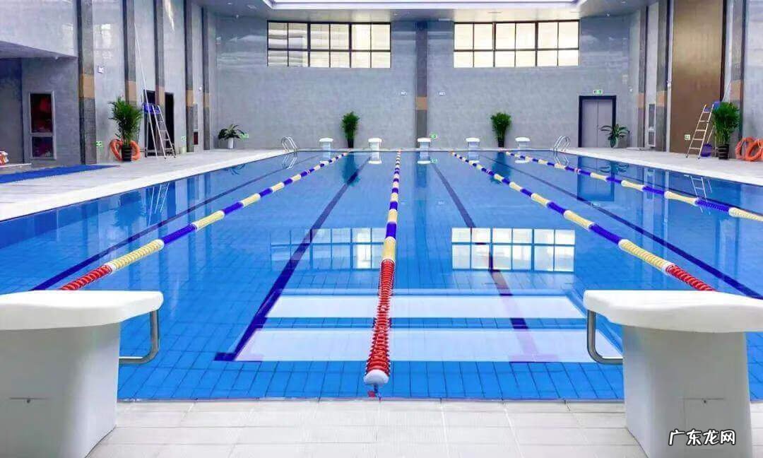 目前减肥产品最好的是什么品牌 专业减肥都有哪些品牌