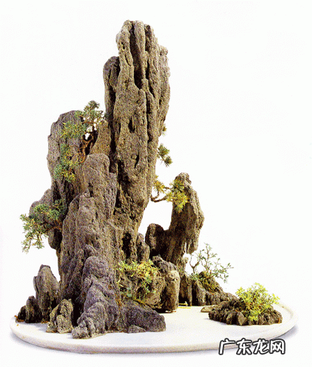 中外观赏石文化比较 中国观赏石大全