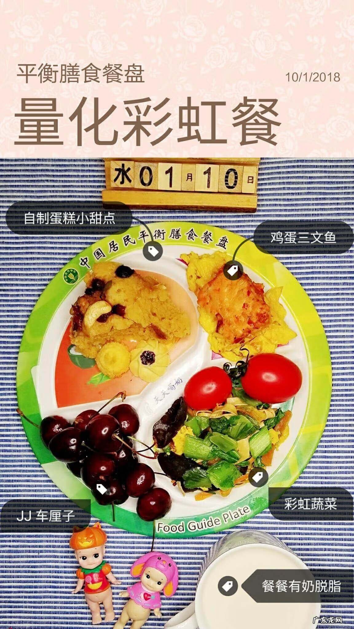 左旋肉碱粉末 左旋肉碱加可可粉