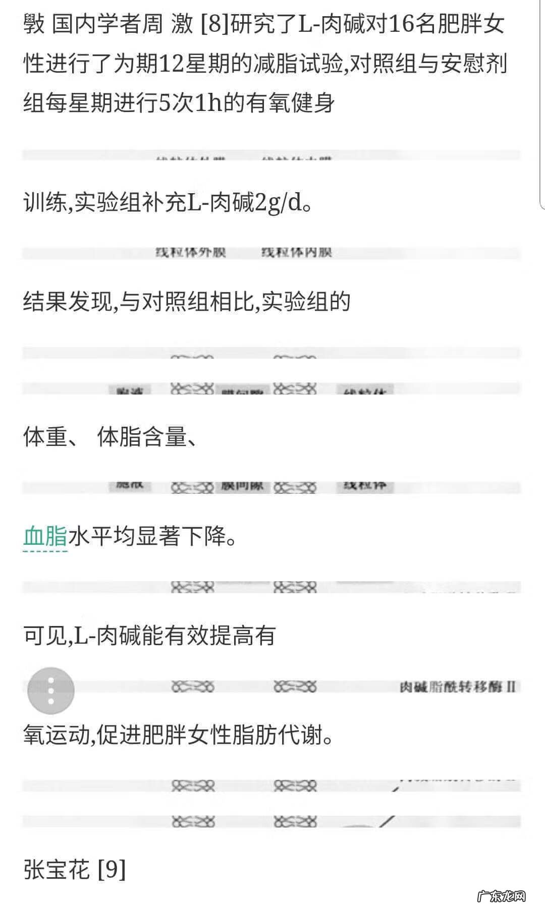 左旋肉碱粉末 左旋肉碱加可可粉