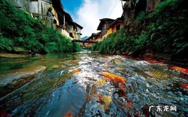 顶级风水宝地 周宁风水宝地