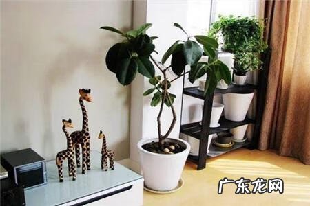 坐北朝南房子院内出水方向 农村坐北朝南房子排水风水