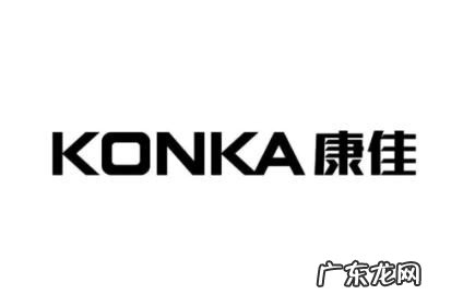 最受欢迎的品牌冰箱一览 2022年品牌冰箱排名前十名