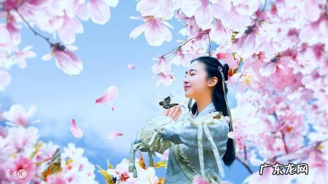 聪贝迪 安宝贝安贝贝