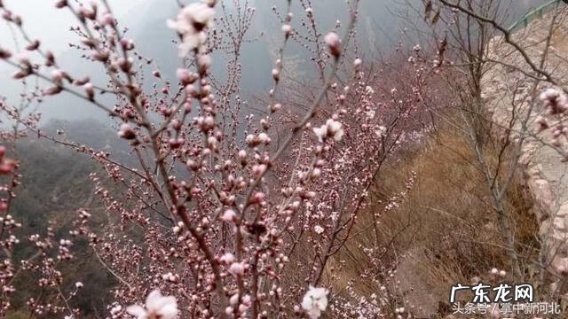 盘龙城风水宝地 龙盘虎踞风水宝地