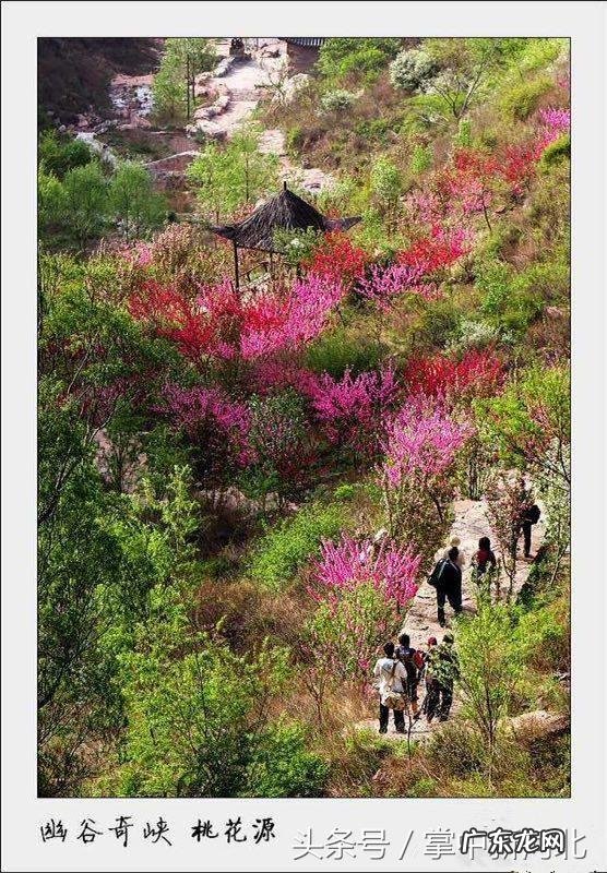 盘龙城风水宝地 龙盘虎踞风水宝地