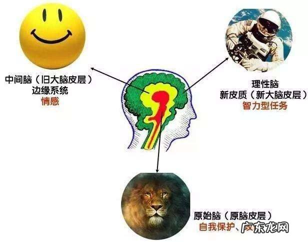 避免看书犯困的几点建议 为什么看书容易犯困想睡觉