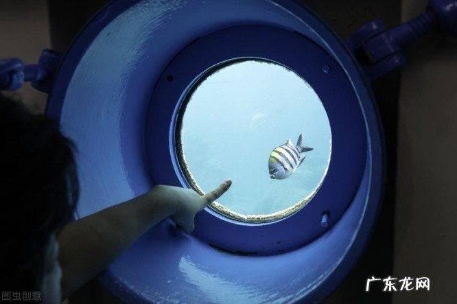 名古屋及冲绳名胜古迹简介 日本冲绳有什么好玩的