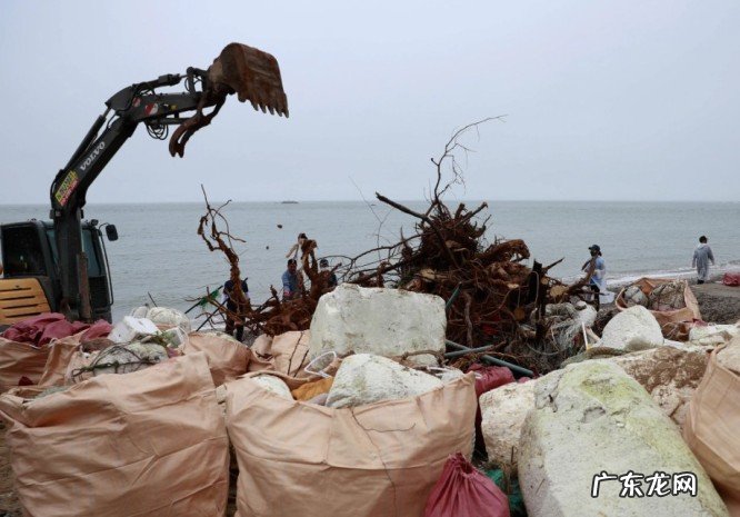 世界上最大的垃圾场有多大?海洋垃圾的危害有多大?