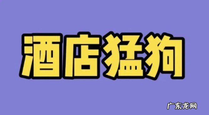 酒店猛狗的意思是什么?猛狗又是什么意思?来欣赏一下原文