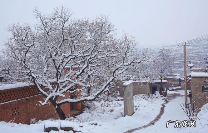 数九从哪天开始算,今年数九什么时候开始到什么时候结束呢?