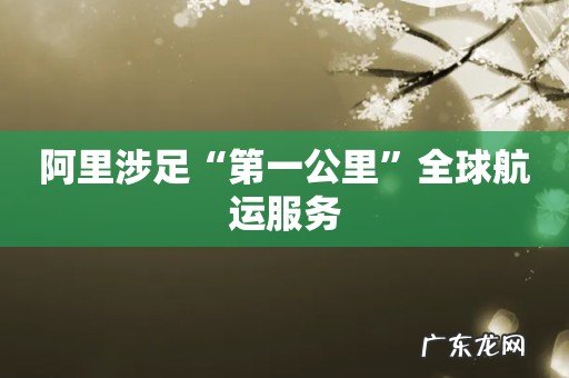 阿里涉足“第一公里”全球航运服务