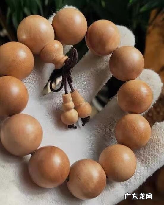 木命人怎么样 木命人哪种木命好