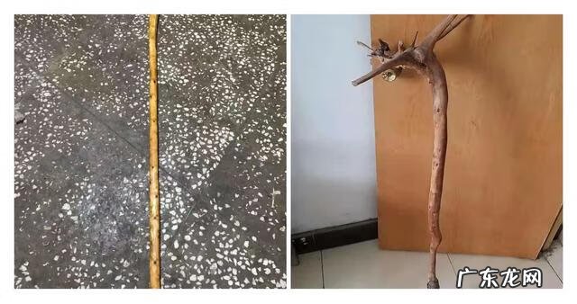 木命人怎么样 木命人哪种木命好