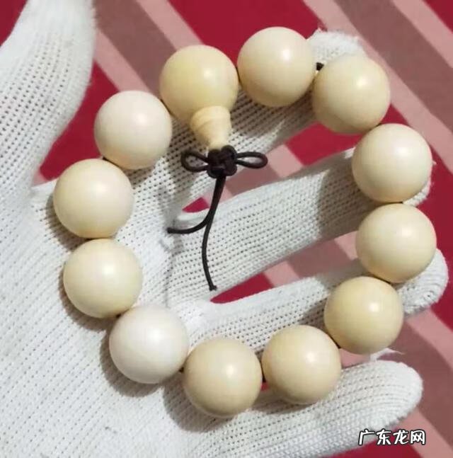 木命人怎么样 木命人哪种木命好