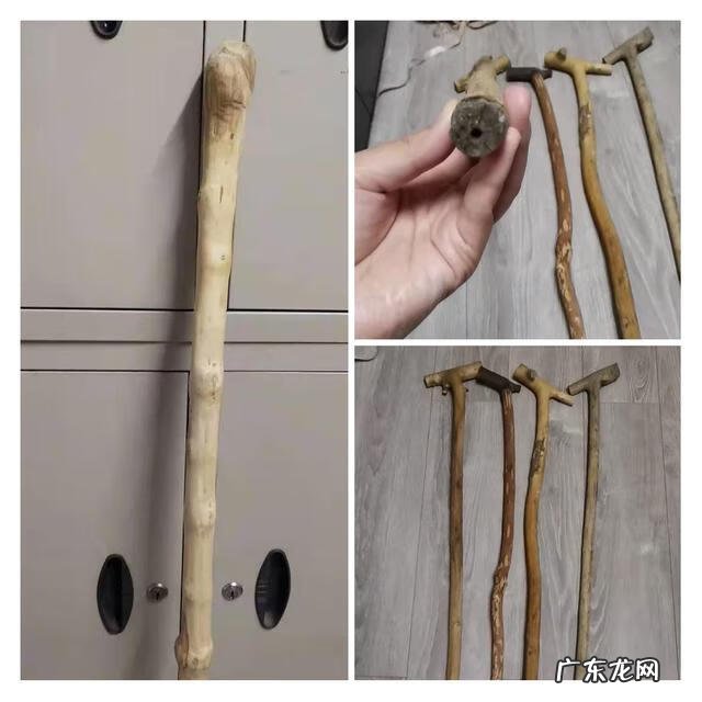 木命人怎么样 木命人哪种木命好