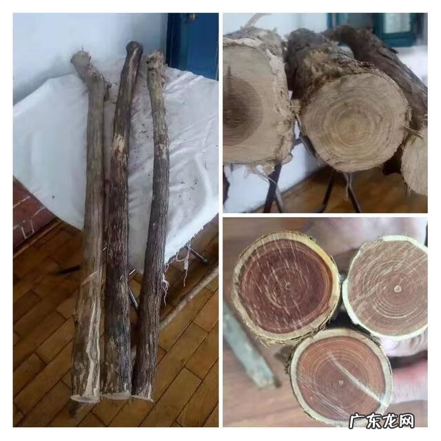 木命人怎么样 木命人哪种木命好