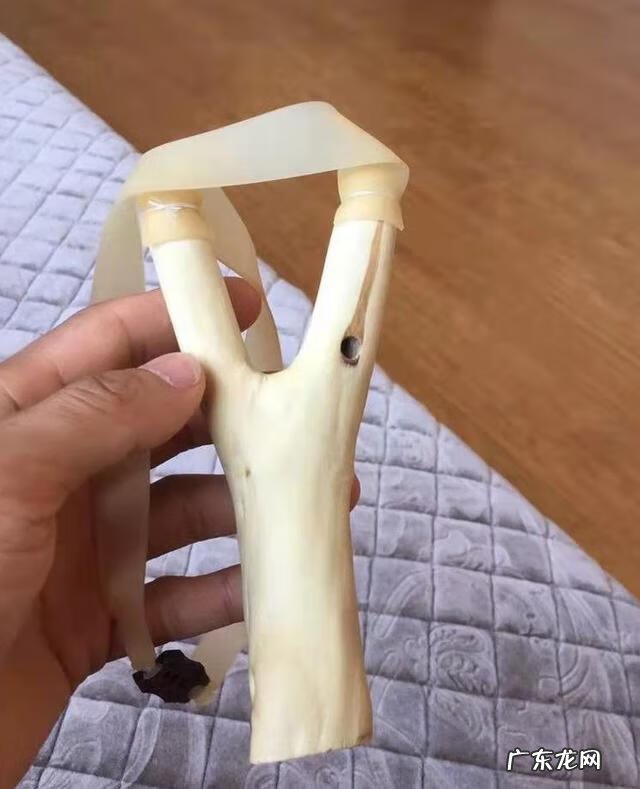 木命人怎么样 木命人哪种木命好