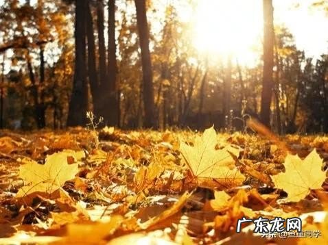 十月二十是什么日子?听谚语是怎么说的