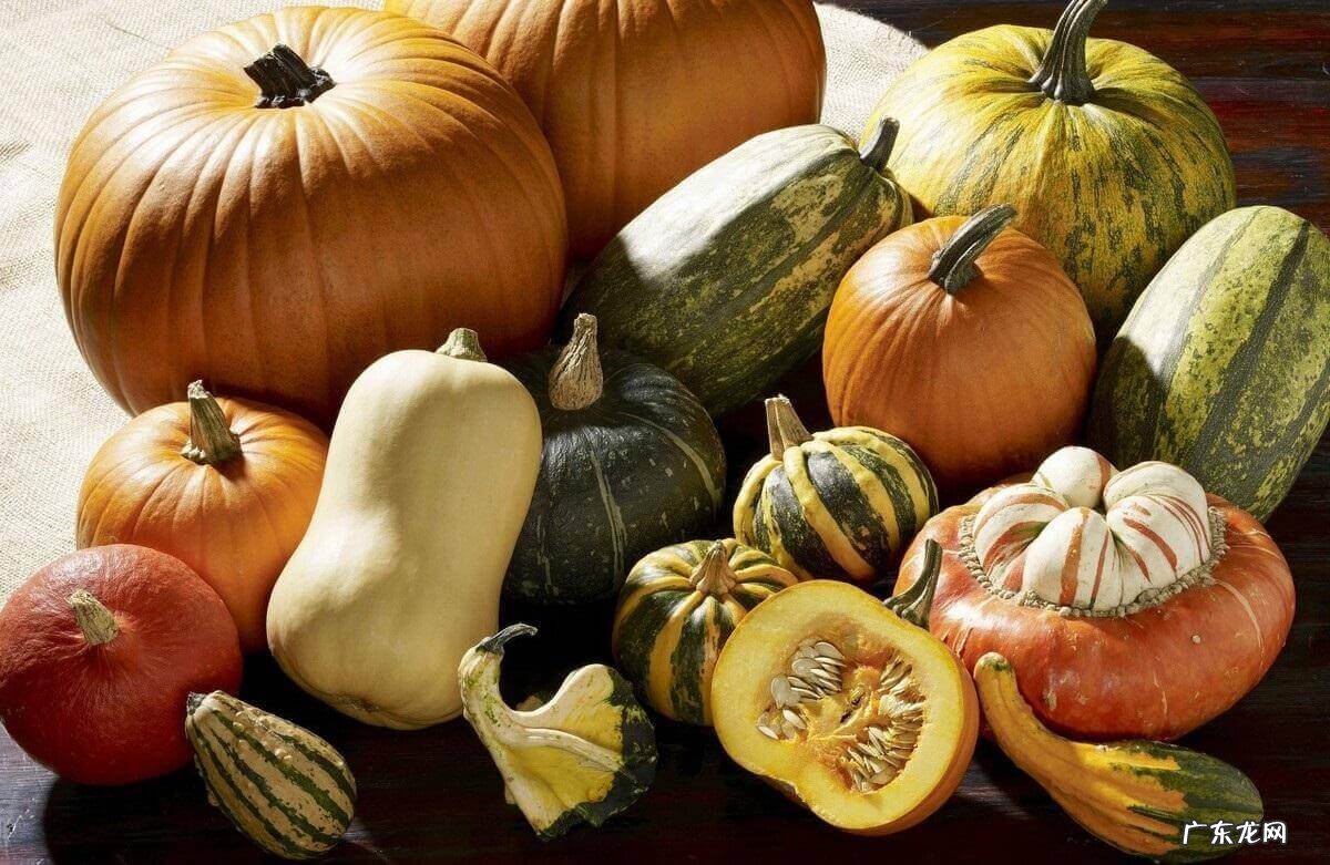 怎么养胃最有效 怎么样才能养胃呢