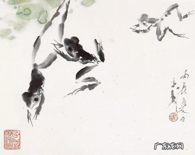 初学画青蛙 放青蛙的画