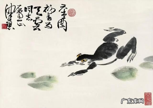 初学画青蛙 放青蛙的画