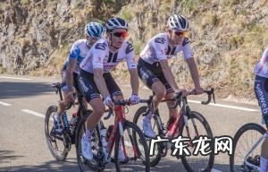 运动手环有哪些作用