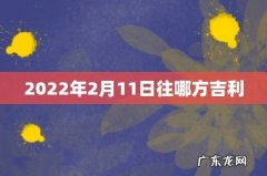 2022年2月11日往哪方吉利