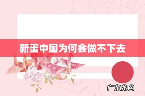 新蛋中国为何会做不下去