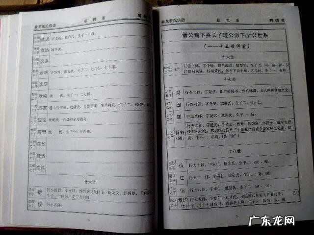 韦氏天星风水培训教材资料 韦氏天星风水神台