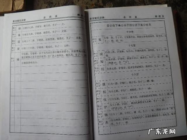 韦氏天星风水培训教材资料 韦氏天星风水神台