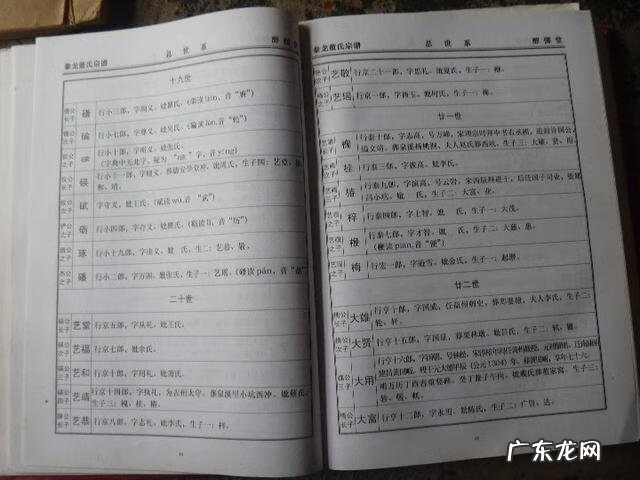 韦氏天星风水培训教材资料 韦氏天星风水神台